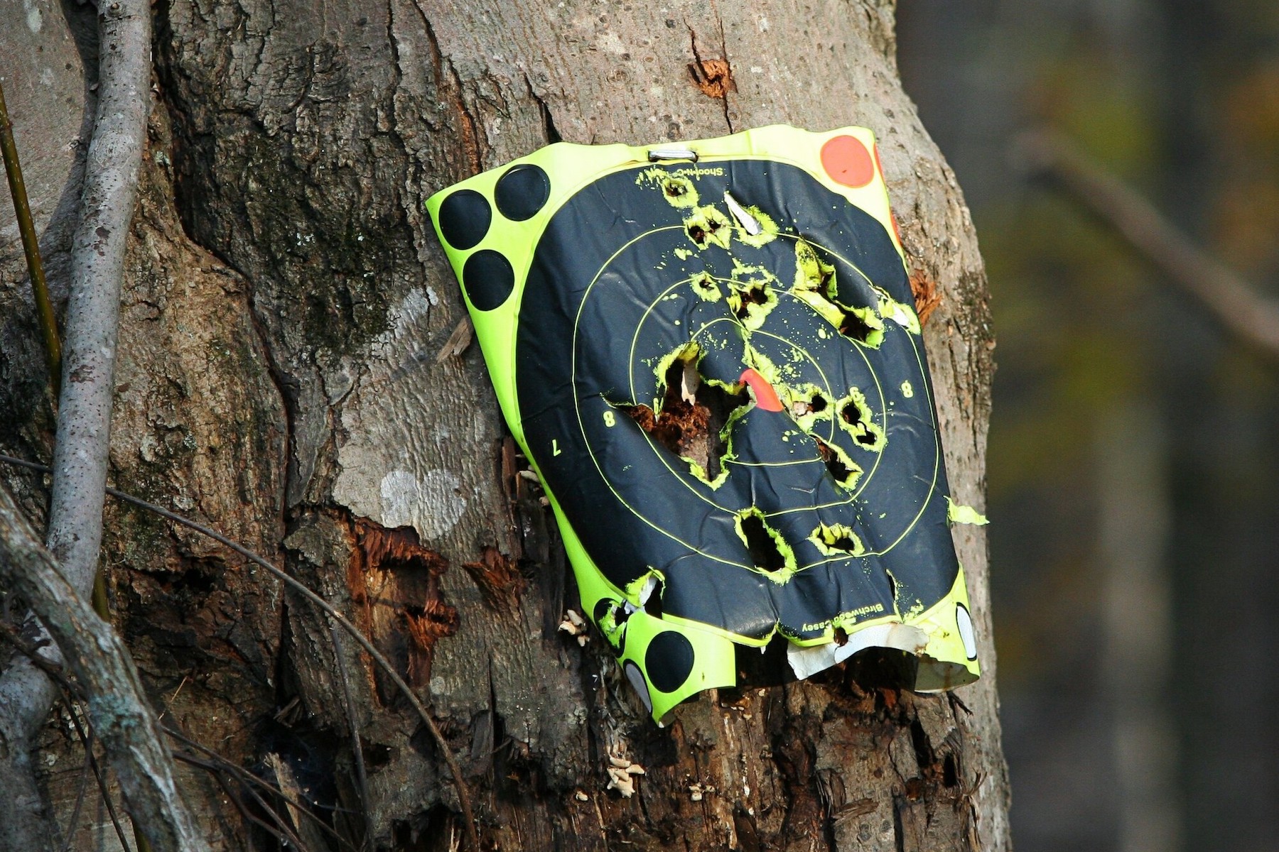 How to Get Started in Competitive Shooting How to Get Started in Competitive Shooting